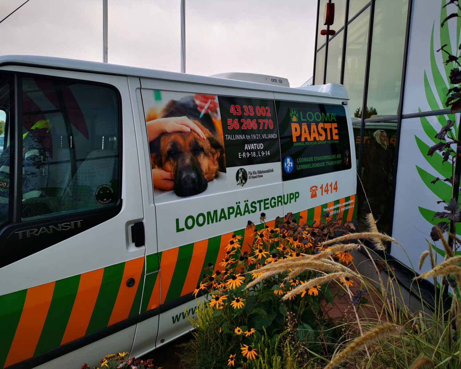 Loomap&auml;&auml;ste_autokleebised 3